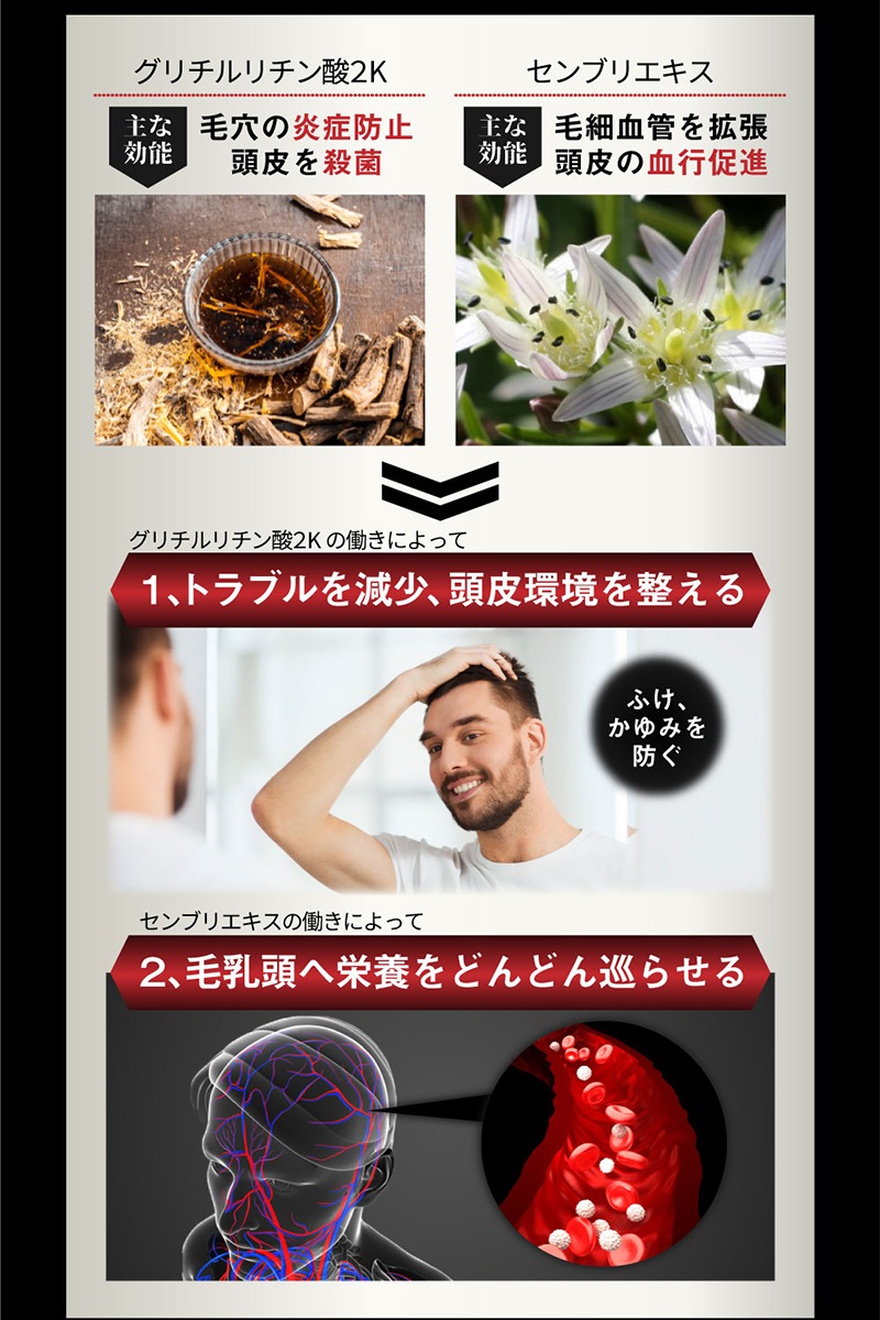 ľΥȥ̲ʡ ­ Ƭ齭 ˤΥ˥к3å [ǥå] żæ ե塼㡼 㥤ˡåѥ Ӻޥ֥쥤֥  ѥ ɥ쥹  ե륿 Х ˥­ Ƭ  齭   ե ȯ
