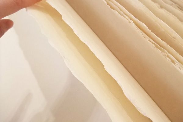 ��������ȩ��桡7��9��