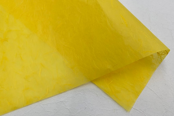 雲竜柳　ドライ　約１４０　～　１６０cm　１０本　とおまけの数本付き　送料込み 雲竜柳ドライ約140～160cm10本とおまけの数本付き