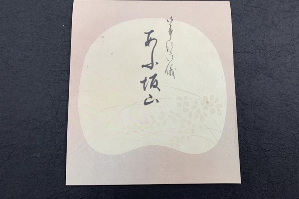 �翧�桡�����ѡ����仳