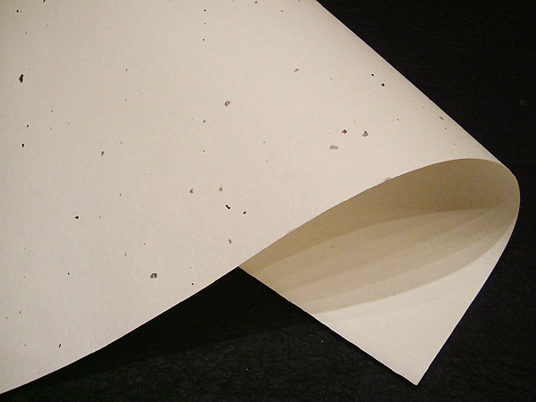 �ƻ��K-159������������˹����ꡡ200����