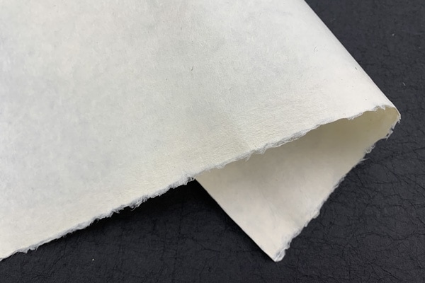 �Ṿ������桡����Ƚ������