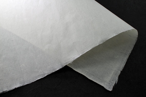 ���¡����˻�Ĺ�ܡ����