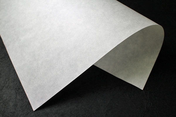 󥯥åȥ롡ȩĻλ48g20m