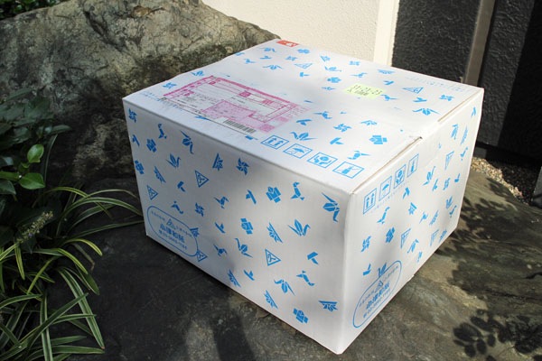 高級ティッシュセット 『里山』 セット 2019年10月新版青箱 【代引不可