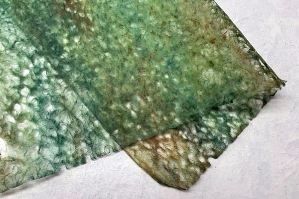 ������������ܤ��������С߲���1516