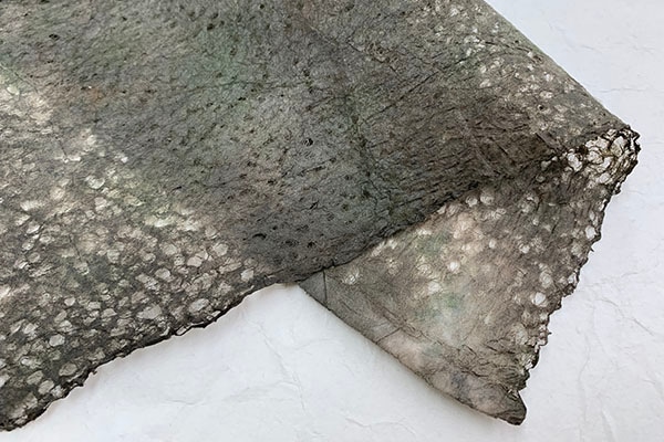 桡ܤᡡ2025001οʤ鷺ФäŤ祳졼ȿ