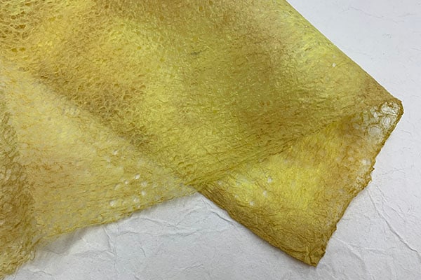 桡ܤᡡ202502ɤաʥ١庮Τ