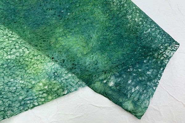 桡ܤᡡ202504ʲФäС