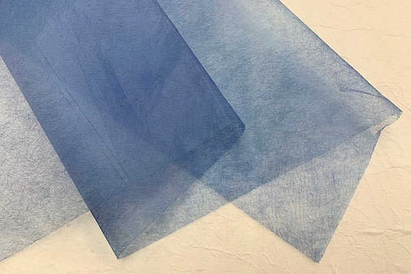 ŵ��ġ�桡�ܤ������ᡡ2025��01��ī���