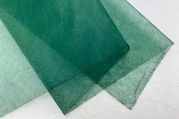 ŵġ桡ܤᡡ202502ӥꥸ