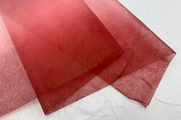 ŵġ桡ܤᡡ202503֤Х