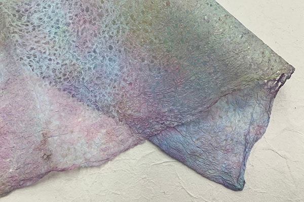 ���桡�ܤ������ᡡ2025��02������ܤ��