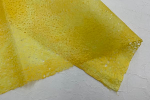 ���桡�ܤ������ᡡ2025��03������ݤ�