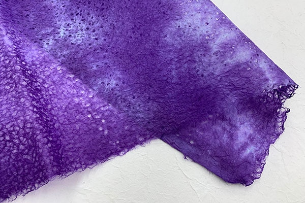 ���桡�ܤ������ᡡ2025��05�����ߤ�