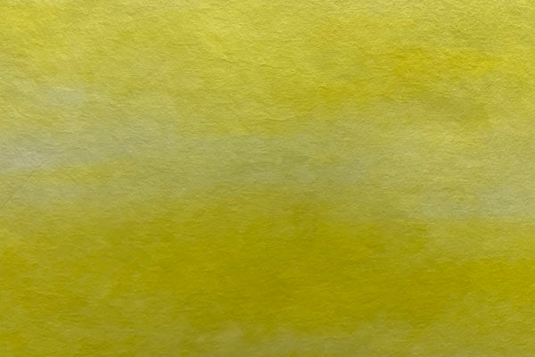 �ں��������͡�2025ǯ��05������