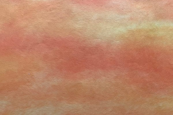 �ں��������͡�2025ǯ��08���ե�å��奪���