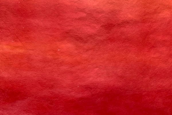 �ں��������͡�2025ǯ��09���֥���ǡ������