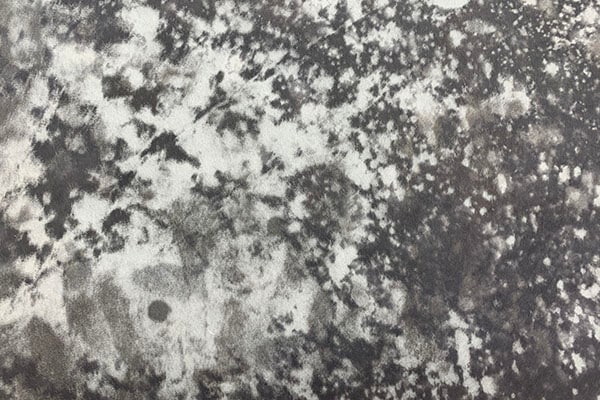 ŵ��ġ�桡̴������2025��01������