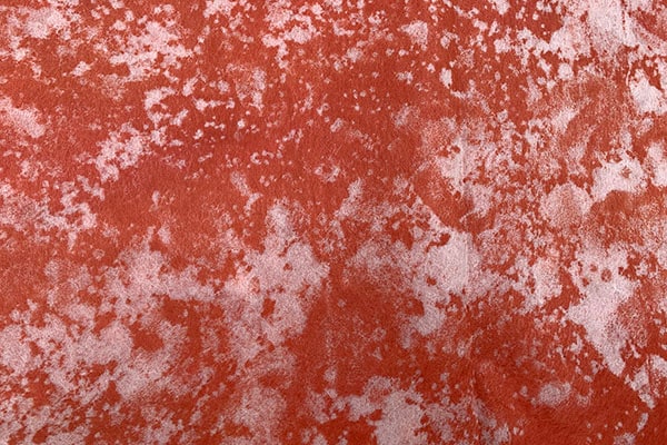 ŵ��ġ�桡̴������2025��03��ǳ���