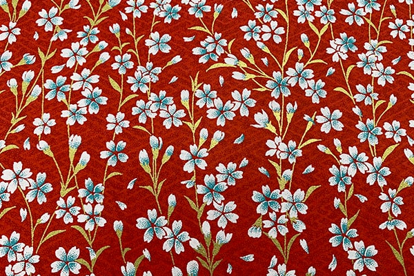 ��������ͧ���桡���Ϥ˲֡�8564