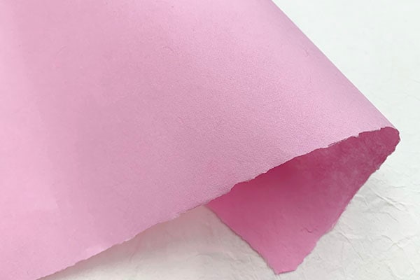 ��������̱�ݻ桡M-01���ԥ�