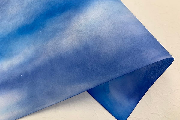 �ں��������͡�2026ǯ��01���Ƥζ�