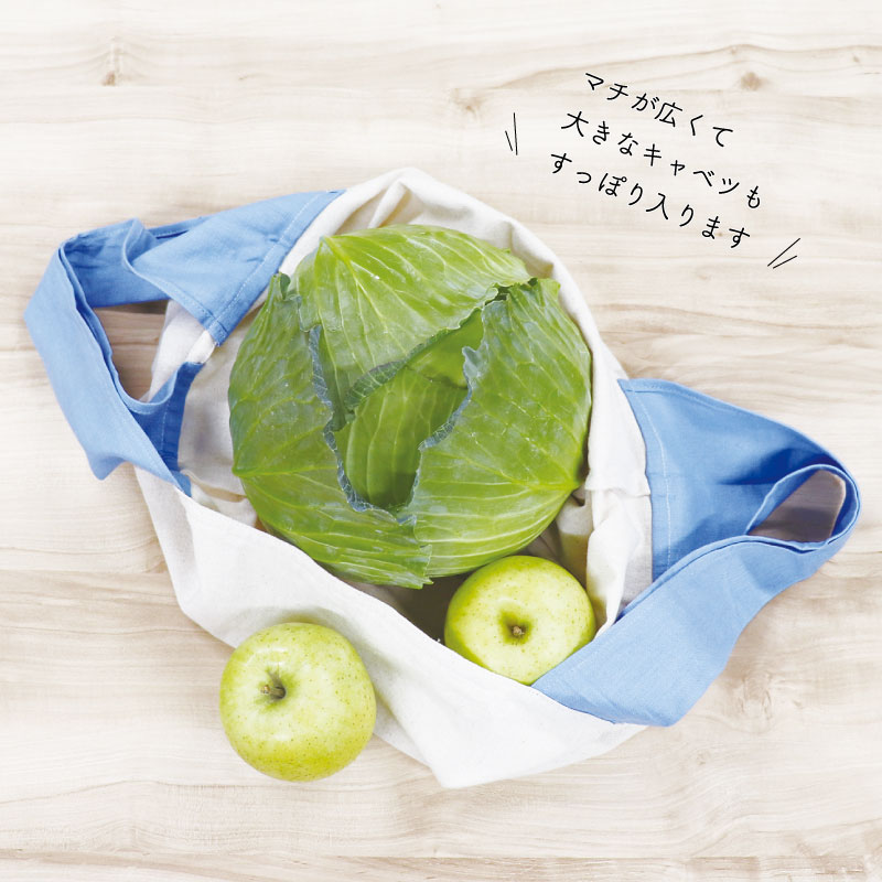 �ߥ顼�ɽ� �����Хå� ��