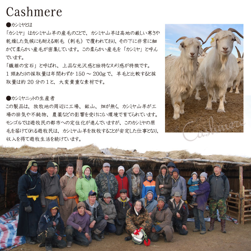 ߥ100  ०ޡʹˡڥ᡼ б