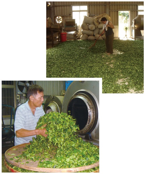 ������ 1��åȥ��ѱ�ζ��ƥ����Хå�����g��12�񡡡ڥ������˥å� ͭ�����ݡۡ����ѱ�ζ��ۡڥ᡼���� ñ�ʣ��Ĥޤ��б���