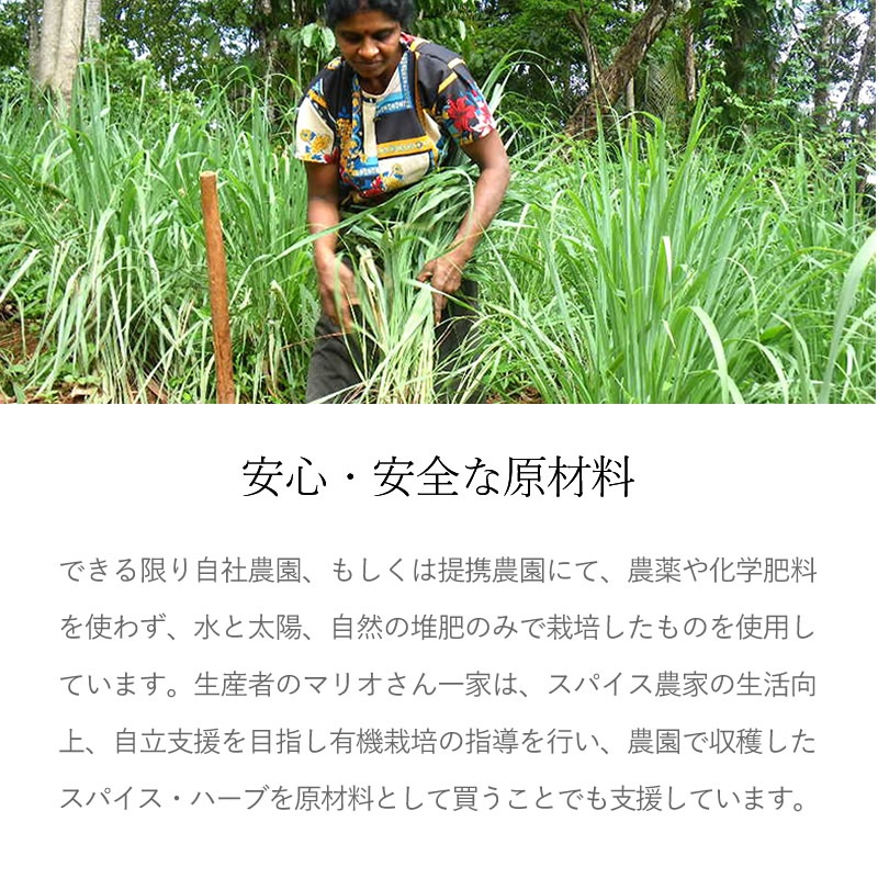 SALE/30%OFF(ĥå)졼ȥȥ졼 Ҥ褳Ʀ졼ʿɤ180g20ġ01ۡھ̣2026ǯ0924ʹߡ