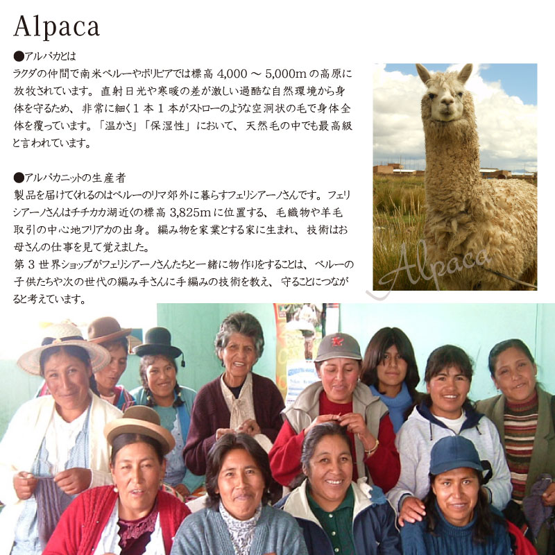 ����ѥ�100�� �ؤʤ����� �������ءʥ饤�ȥ��졼�ߥ�åɡˡڥ᡼���� �б���