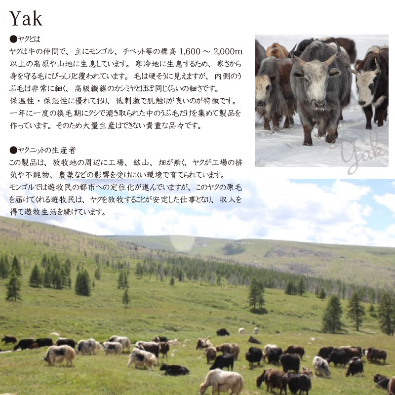 �䥯100%��5�ܻؼ��ޡʥ��졼)�ڥ᡼���� �б���