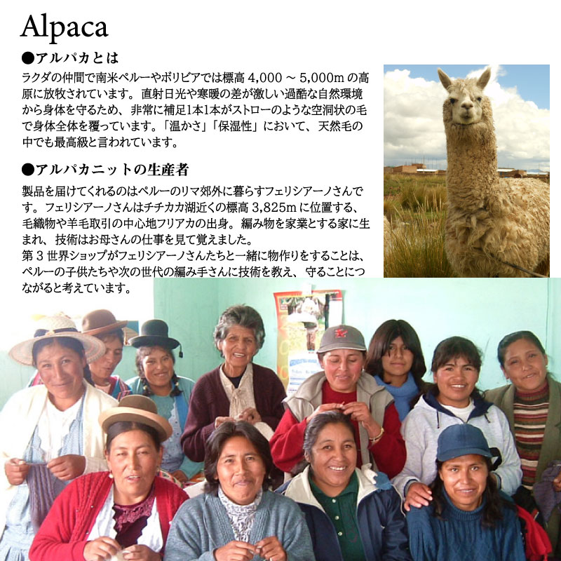 ����ѥ�100�� �ꥹ�ȥ������ޡ�Ļ�Υ������ʥͥ��ӡ�MIX�ˡڥ᡼���� �б���