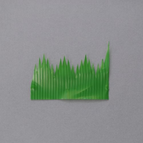 �Х�� �� ����1��  ��Ȣ��1000������