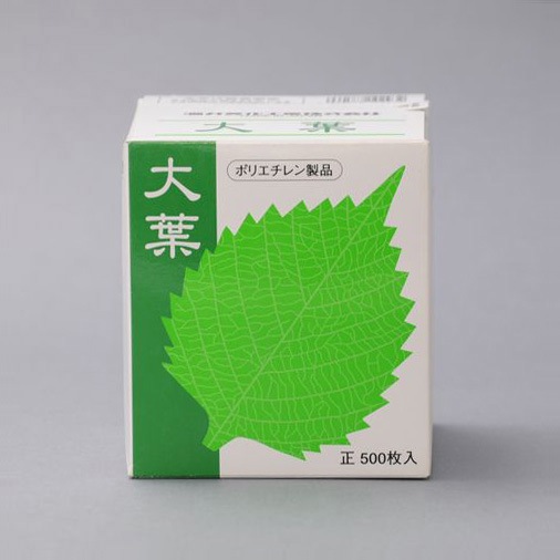 ���եХ��  ��Ȣ��500������  