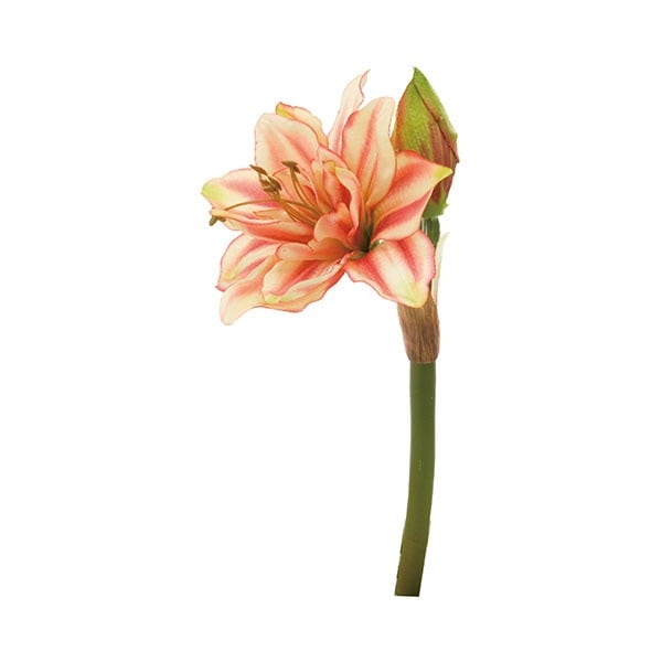 リアフローラ 造花 アマリリスピック レッドグリーン