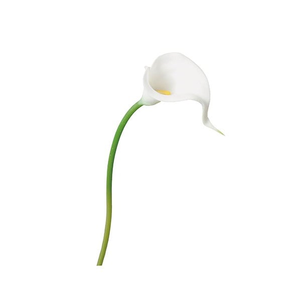 リアフローラ 造花 カラーリリーS