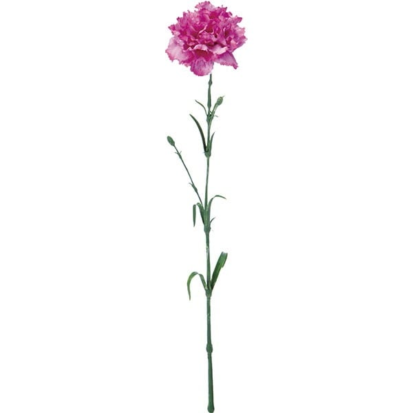 リアフローラ 造花 クリスティーナカーネーション パープル