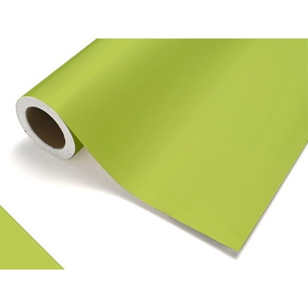 カッティングシート レギュラー CS412 スプリンググリーン