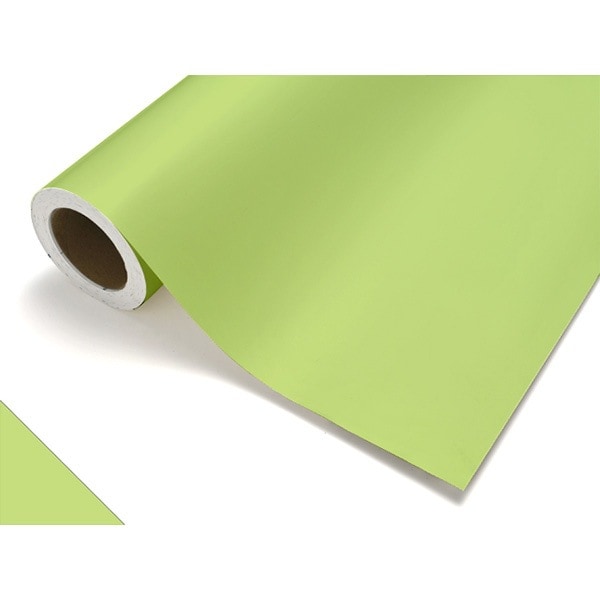 カッティングシート レギュラー CS415 メロン