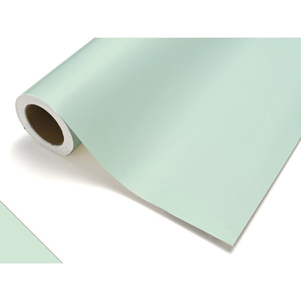 カッティングシート レギュラー CS483 セルロイド