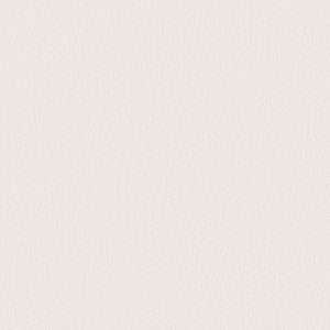 TA-4709 リアテック カラー サンゲツ