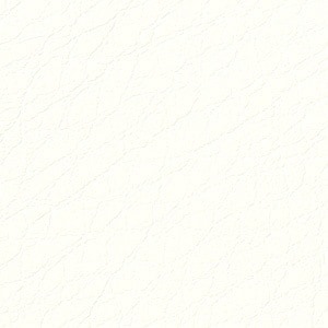 TCー4501 ベーシック リアテック レザー サンゲツ