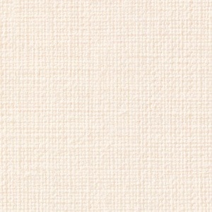 TN-5169 トラッドリネン リアテック マットファブリック サンゲツ