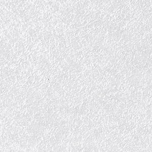 Shiramayu TX-5139 白繭 リアテック 自然の輪郭 サンゲツ