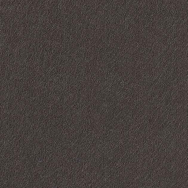 TFE-5245(旧:TF-5245) バイブレーション リアテック 高耐候リアテック サンゲツ