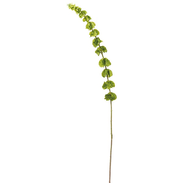 リアフローラ 造花 モルセラ グリーン