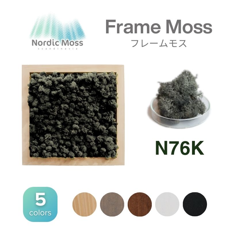 ノルディックモス フレームモス N76K