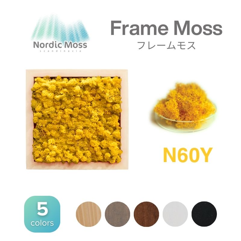 ノルディックモス フレームモス N60Y
